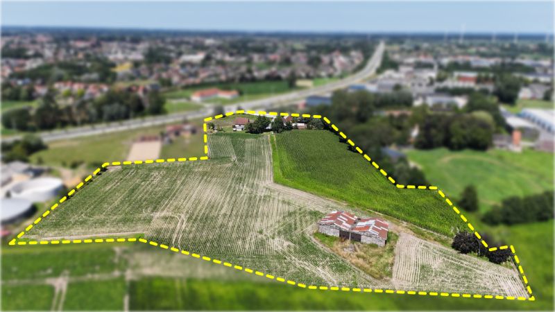 Te koop: Ruime woning met 4 slaapkamers, stallingen en weide van 37.783 m² foto 3