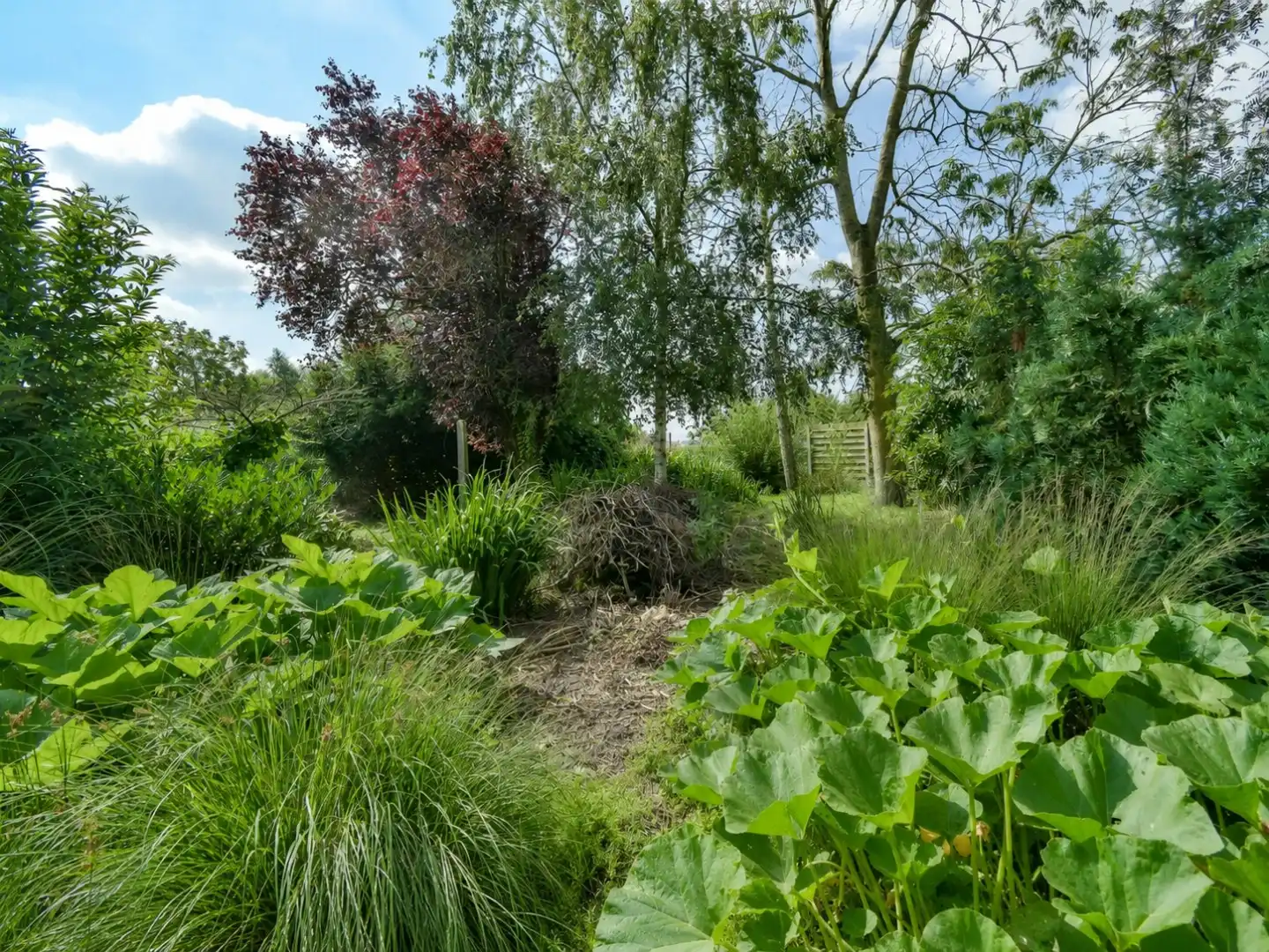 KIJKDAG zaterdag 25 juli van 10u tot 12u, op afspraak! foto 11