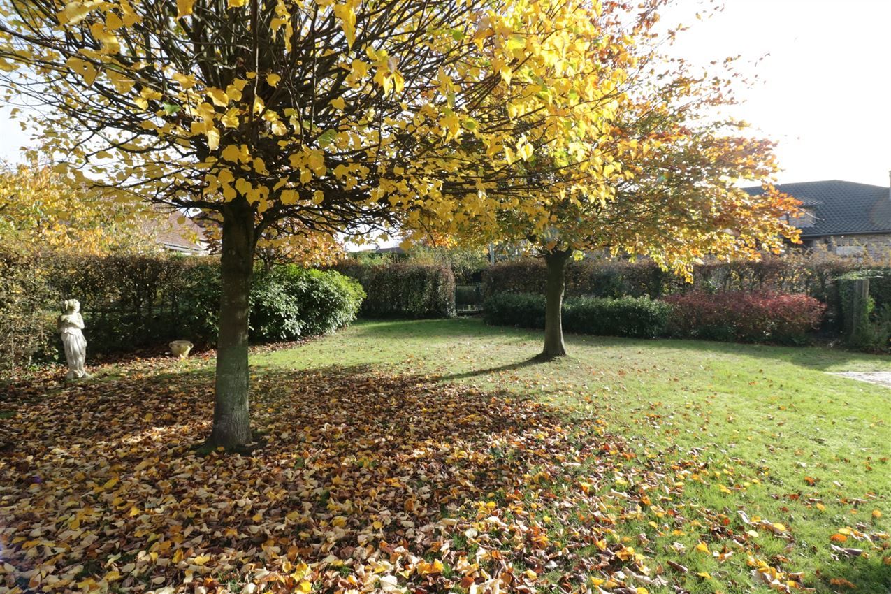 met prachtige tuin, nabij centrum foto 4