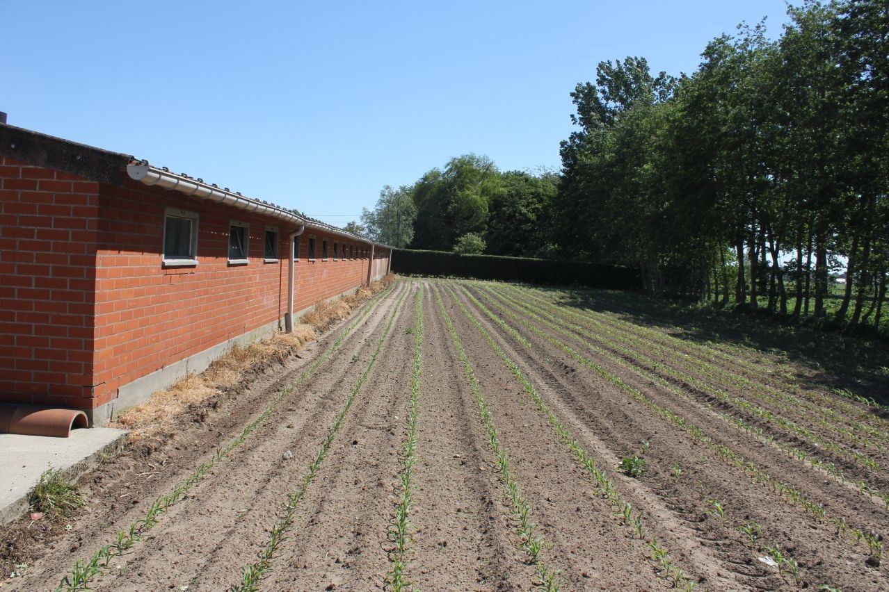 Mooie verzorgde hoeve te koop te Eeklo foto 9