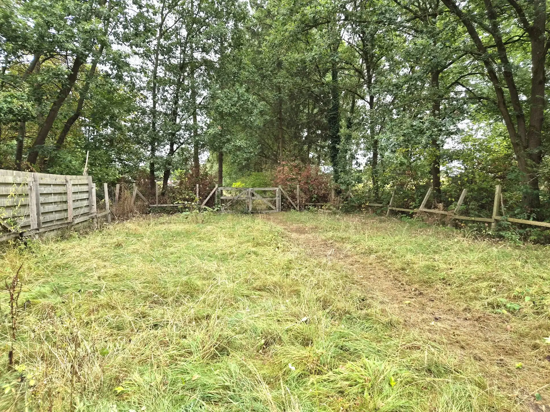 Charmante instapklare woning met grote tuin  foto 20