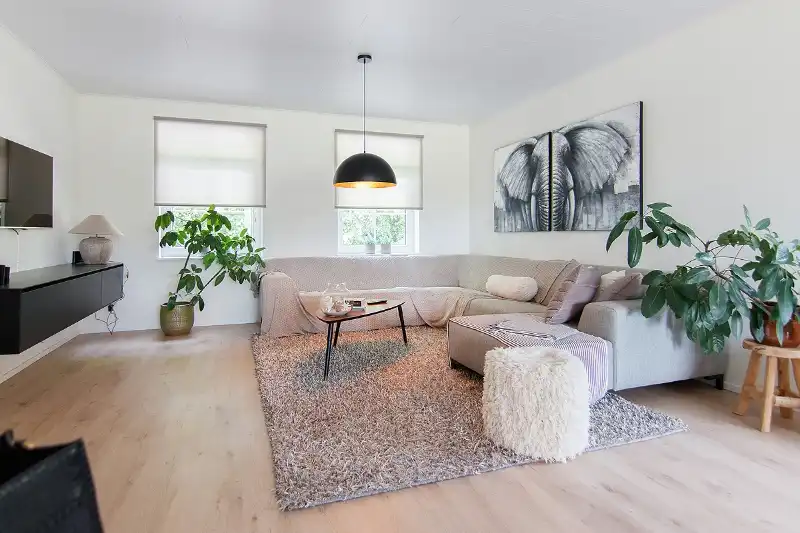 Rustig gelegen, ruime woning op een perceel van 6 aren 65 centiaren. Riante indeling met 4 slaapkamers en een open leefruimte die uitgeeft op de tuin. foto 3