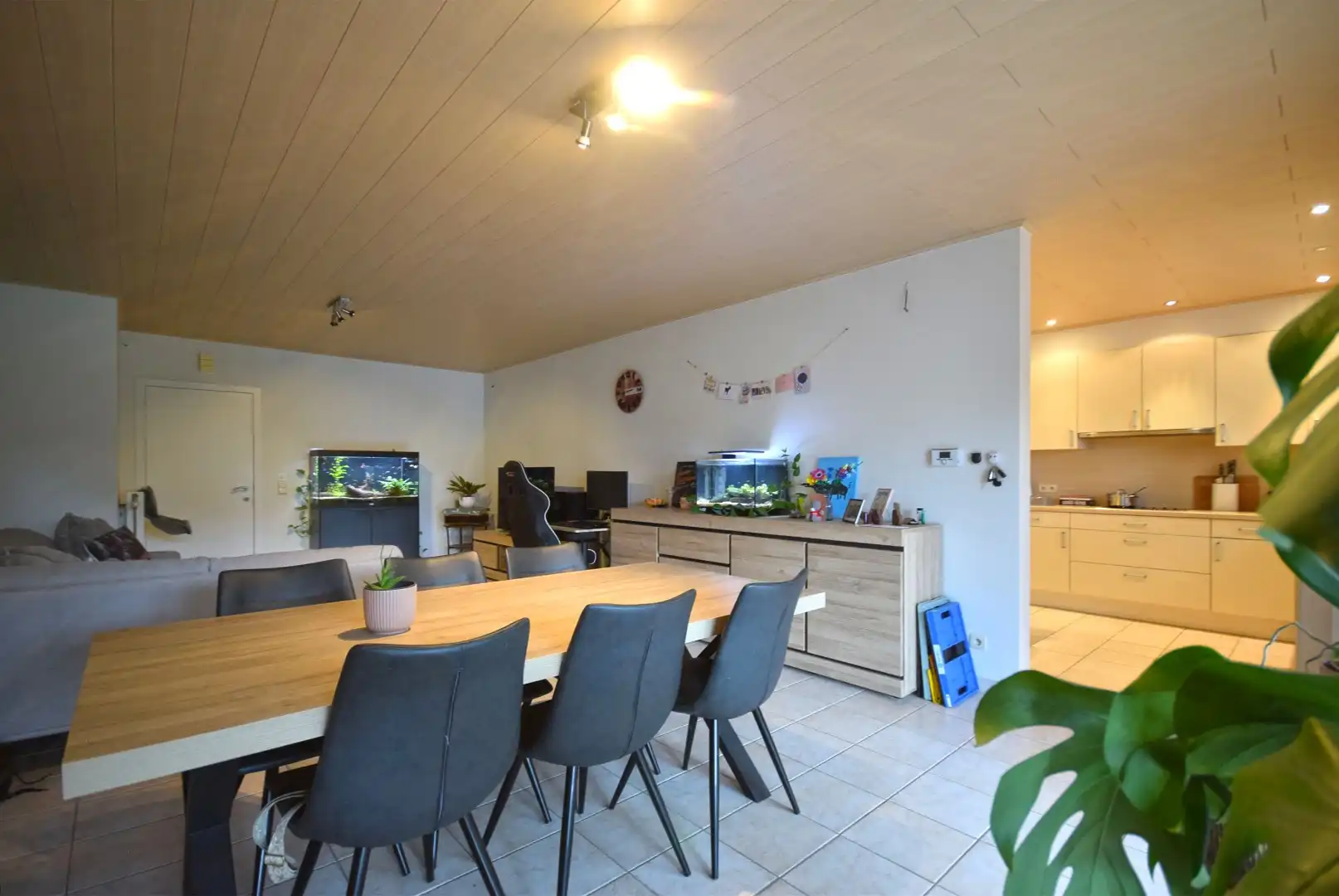RUSTIG GELEGEN GEZINSWONING MET 3 SLAAPKAMERS, GARAGE EN ZONNIGE TUIN foto 3