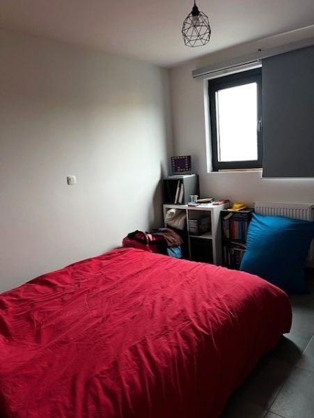 Aangename woning met tuin foto 6