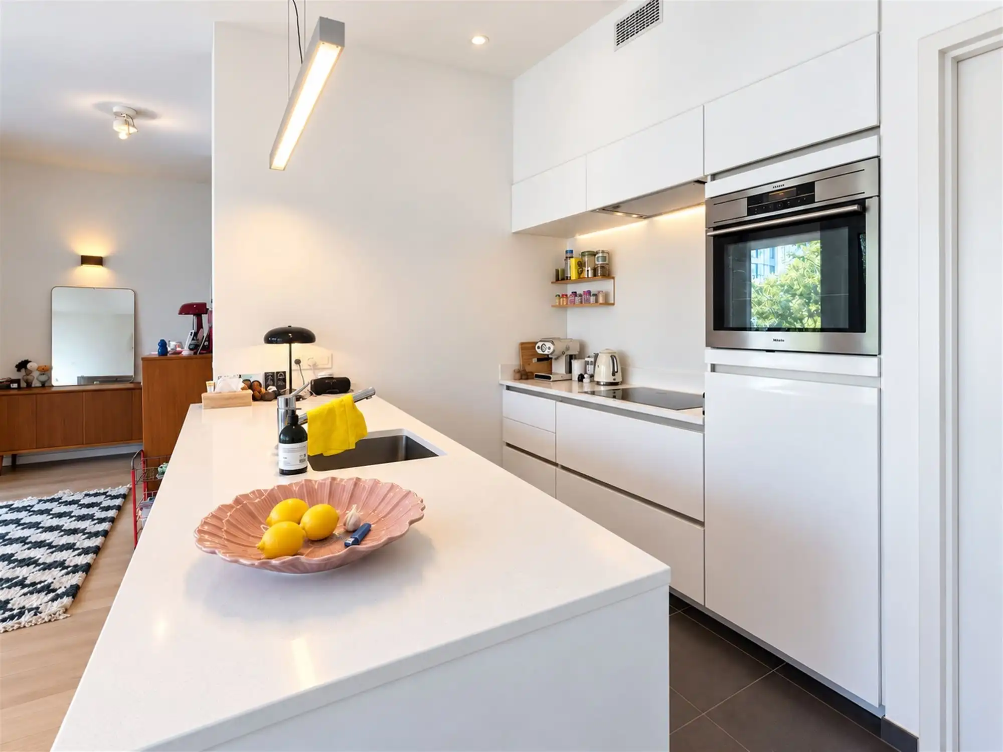 Prachtig recent appartement met terras aan 't MAS  foto 6