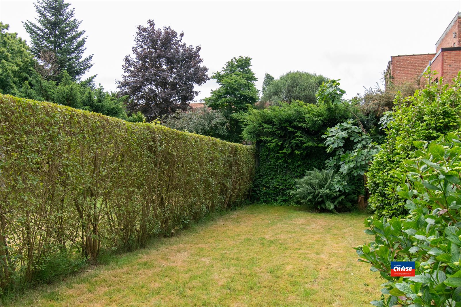 Rijwoning met 2 slaapkamers + tuin foto 10