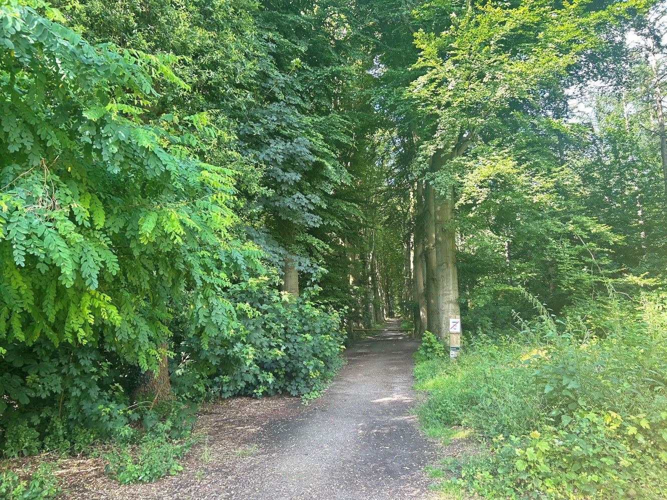 Uitzonderlijk gelegen villa aan de rand van Heverleebos foto 10
