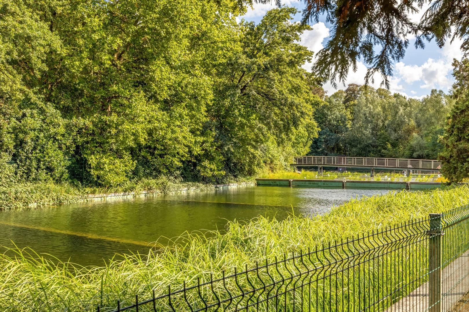 Instapklaar pareltje tussen de parken foto 26