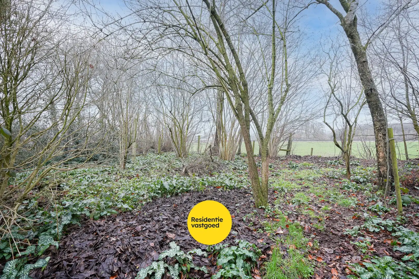 Landelijk gelegen woning op een perceel van 1.361m² foto 11