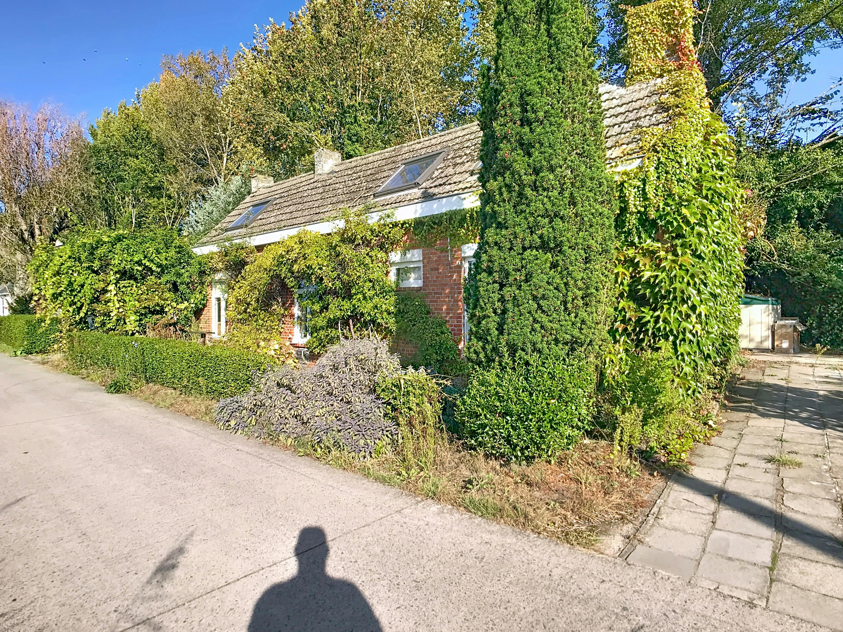 Rustig gelegen huis of vakantiewoning te Kieldrecht (Beveren) foto 21