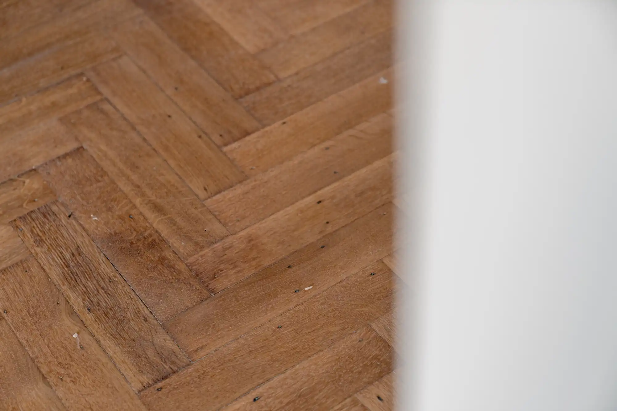 Iets met seks, een dwergteckel en La Dada aan het Stadspark foto 4