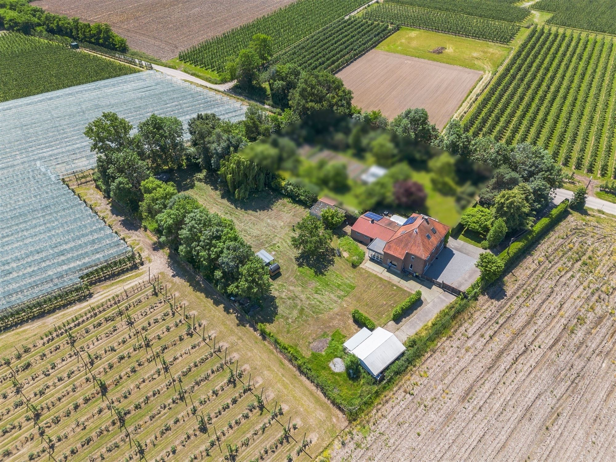 WONING MET VEEL POTENTIEEL OP EEN PERCEEL GROND VAN 35A EN DE MOGELIJKHEID TOT HET BIJKOPEN VAN BIJNA 2HA WEI foto 8