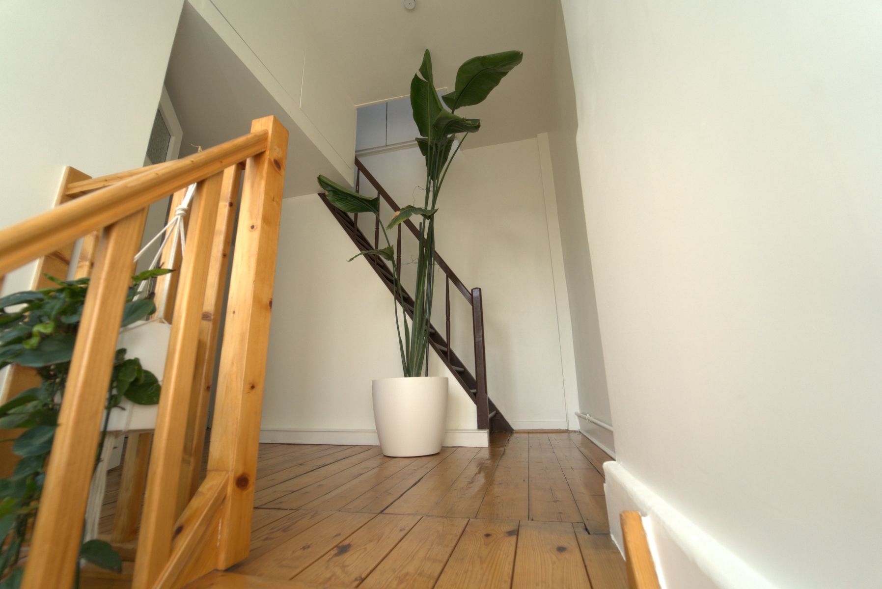 Rijwoning met 3 slaapkamers nabij centrum foto 16