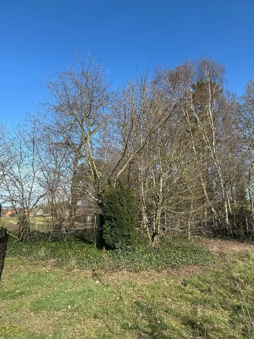 Nieuwbouwwoning, open bebouwing, 3 slpk, 14a 53ca, rustig gelegen te Kermt foto 24