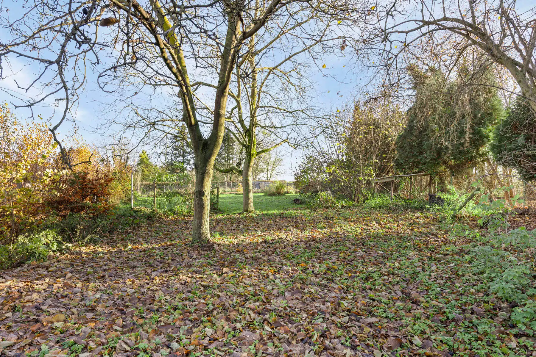 Handelspand met woonst, showroom, loods en bouwgrond foto 26