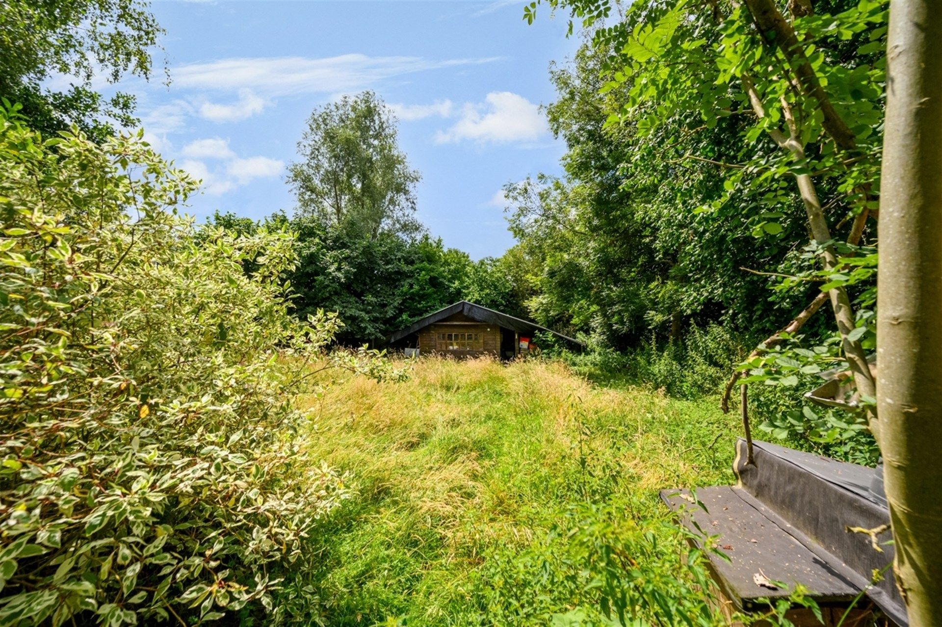 Te renoveren woning met veel potentieel op perceel van 1443m² foto 9