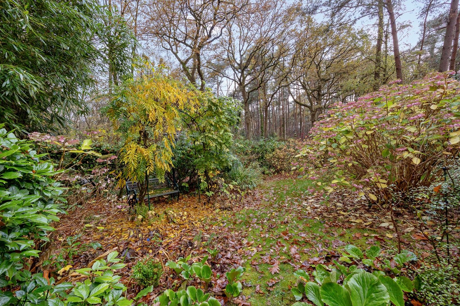 Open bebouwing met grote garage of magazijn, gelegen volledig in het groen en ingericht met een 'charme-authentiek-interieur' foto 21
