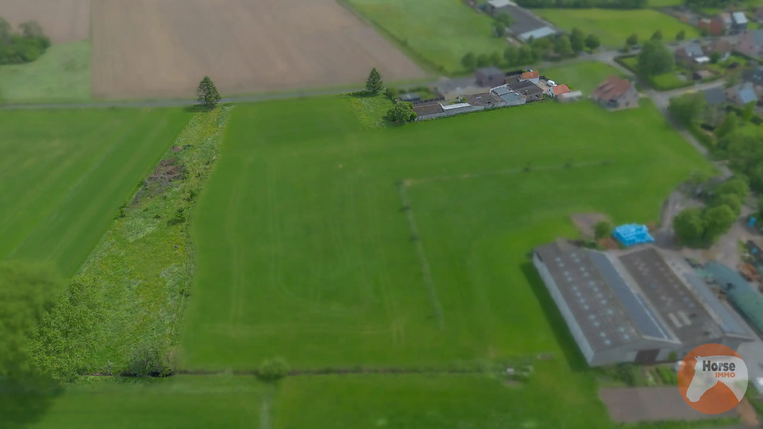 HOFSTADE - Charmante gelegen woning met bijgebouwen en weide foto 36
