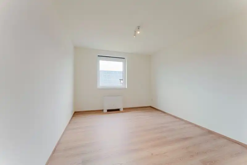 Laatste moderne halfopen nieuwbouwwoningen te Sijsele foto 6