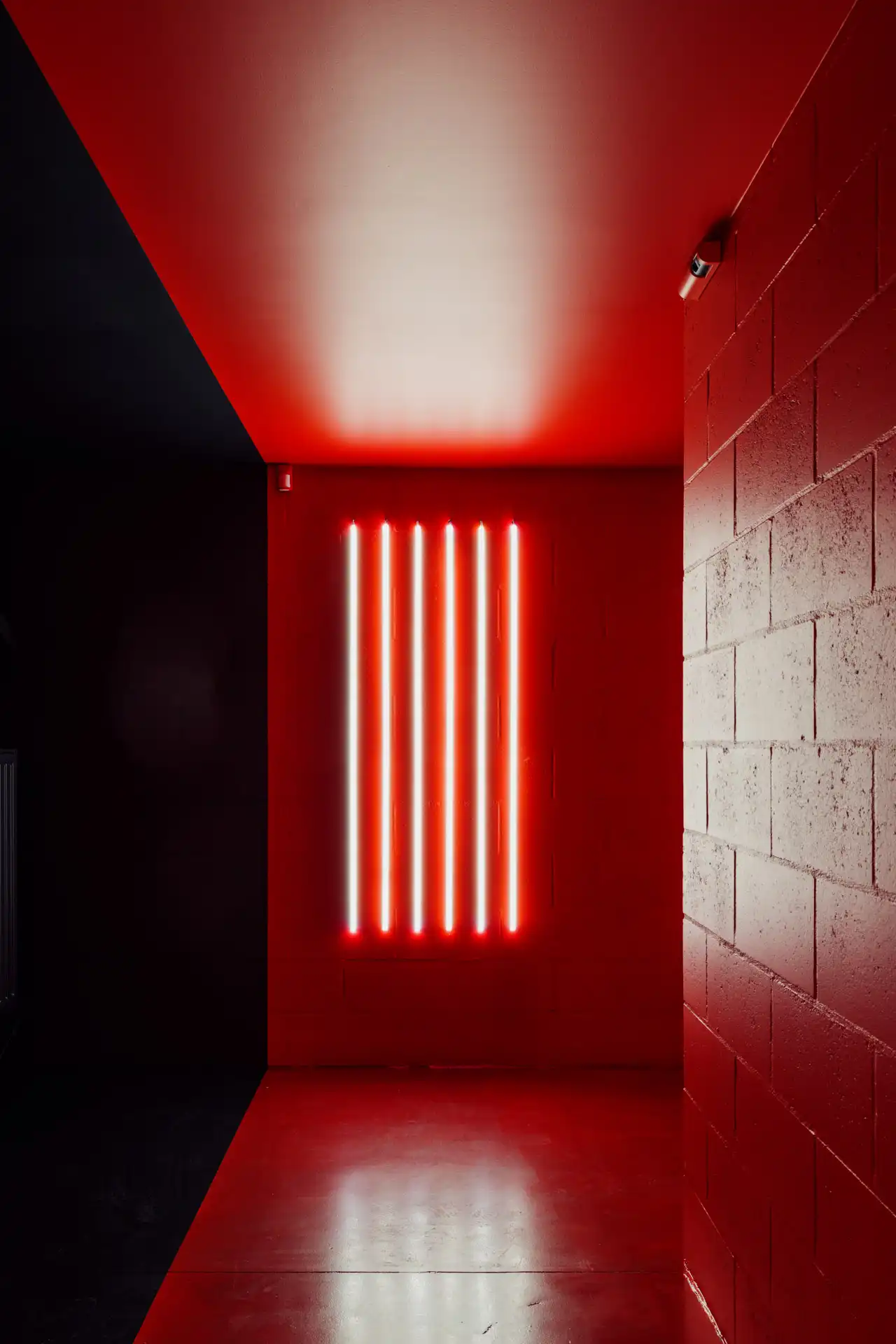 Prachtig bedrijfsgebouw in Zwevegem wegens verhuis foto 10