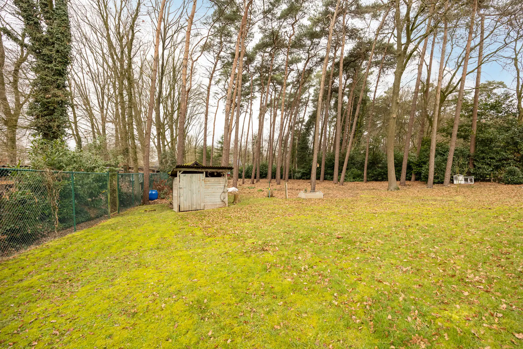 Te renoveren laagbouw gelegen op groot perceel te Merksplas. foto 25