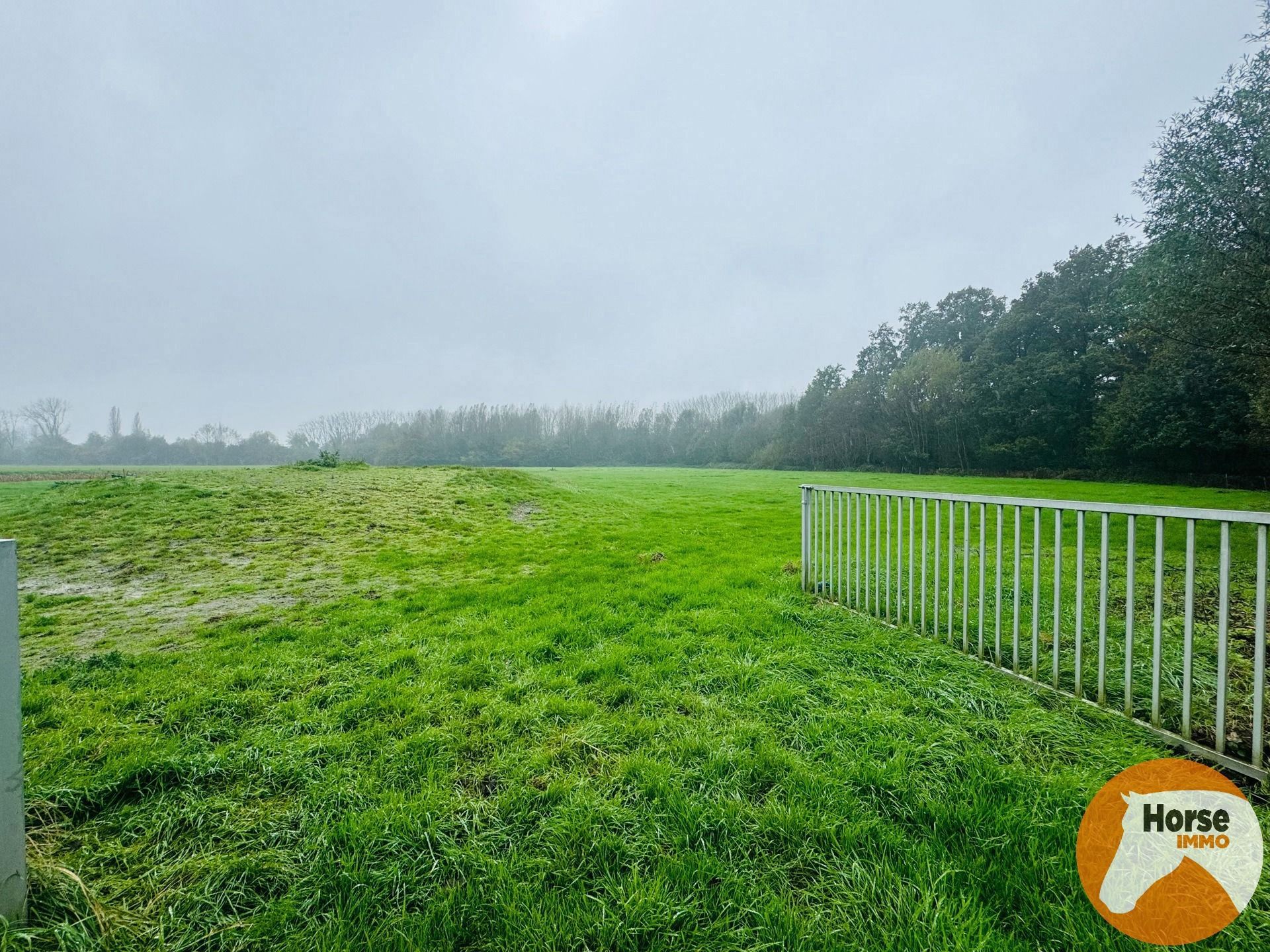 NAZARETH  - Goed bereikbare weide vrij van pacht foto 3