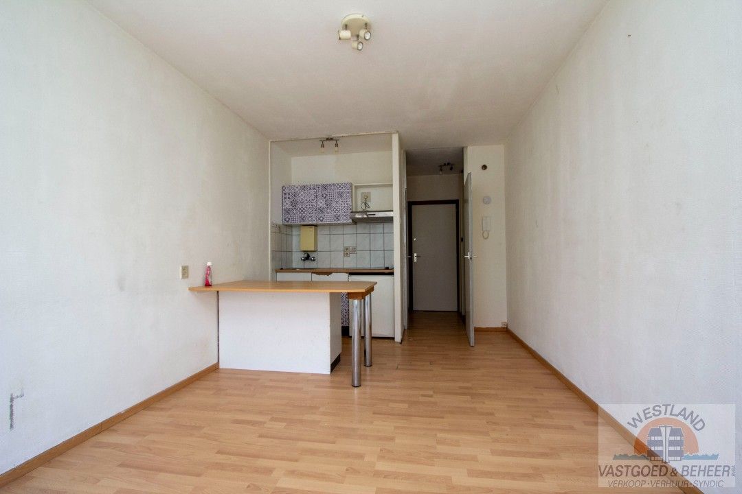 Te renoveren studio foto 2