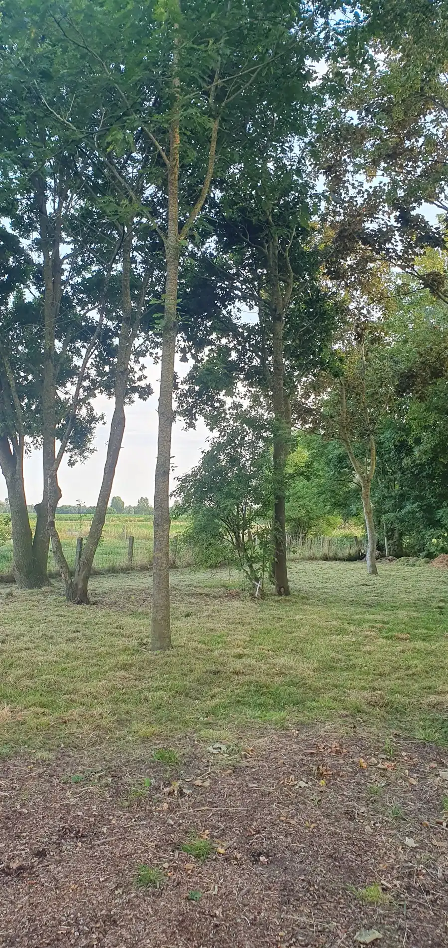 Charmante woning in zalige tuin met gastenverblijf! foto 22