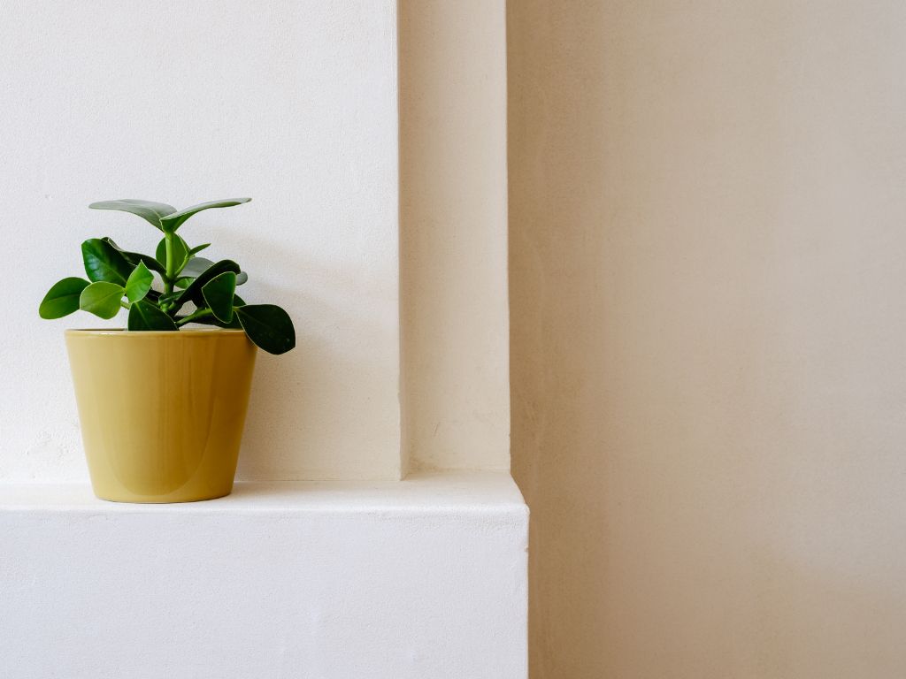 Bijzonder duplexappartement (240 m²) met vier slaapkamers, telkens met eigen sanitair en buitenruimte, gelegen in een kleinschalige residentie nabij het Zuid. foto 24