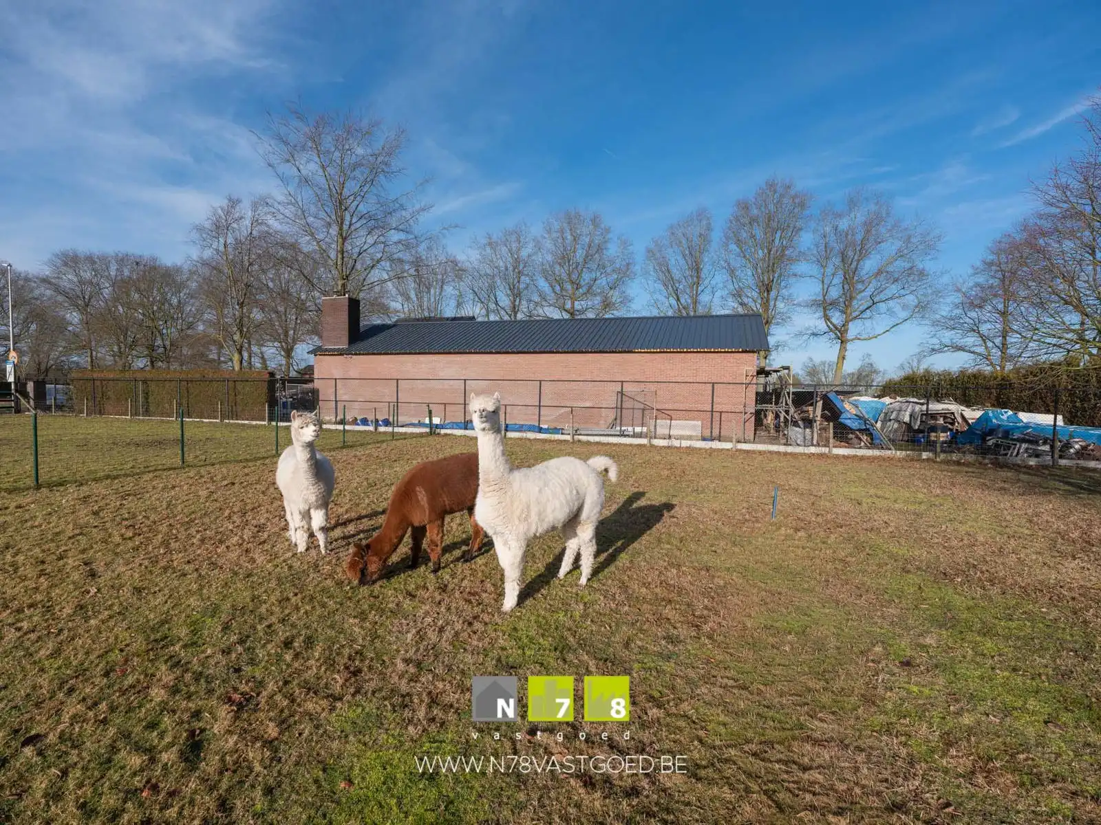 Huis te koop foto 48