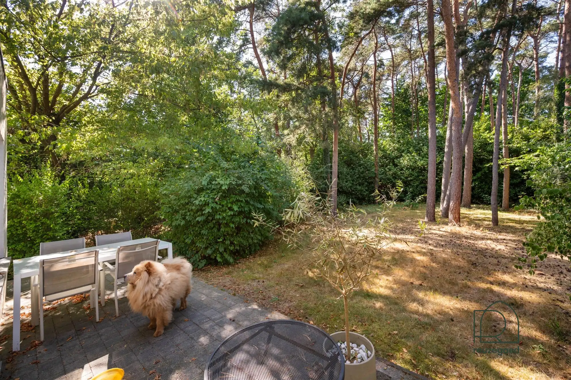 Charmante gerenoveerde open bebouwing op een prachtig perceel foto 22