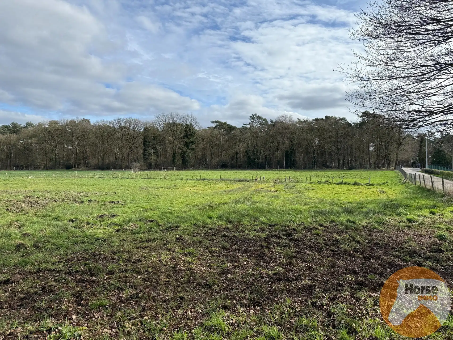 HELCHTEREN - Weiland met schuilstallen nabij ruiterpaden foto 6