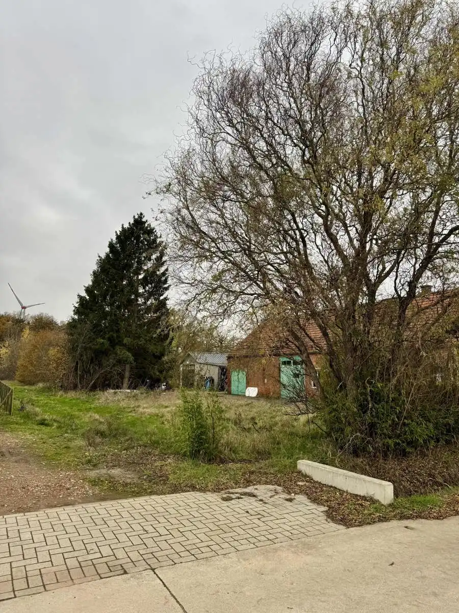 Bouwgrond voor open bebouwing met achterliggend weiland gelegen op uiterst rustige locatie te Olmen. foto 7