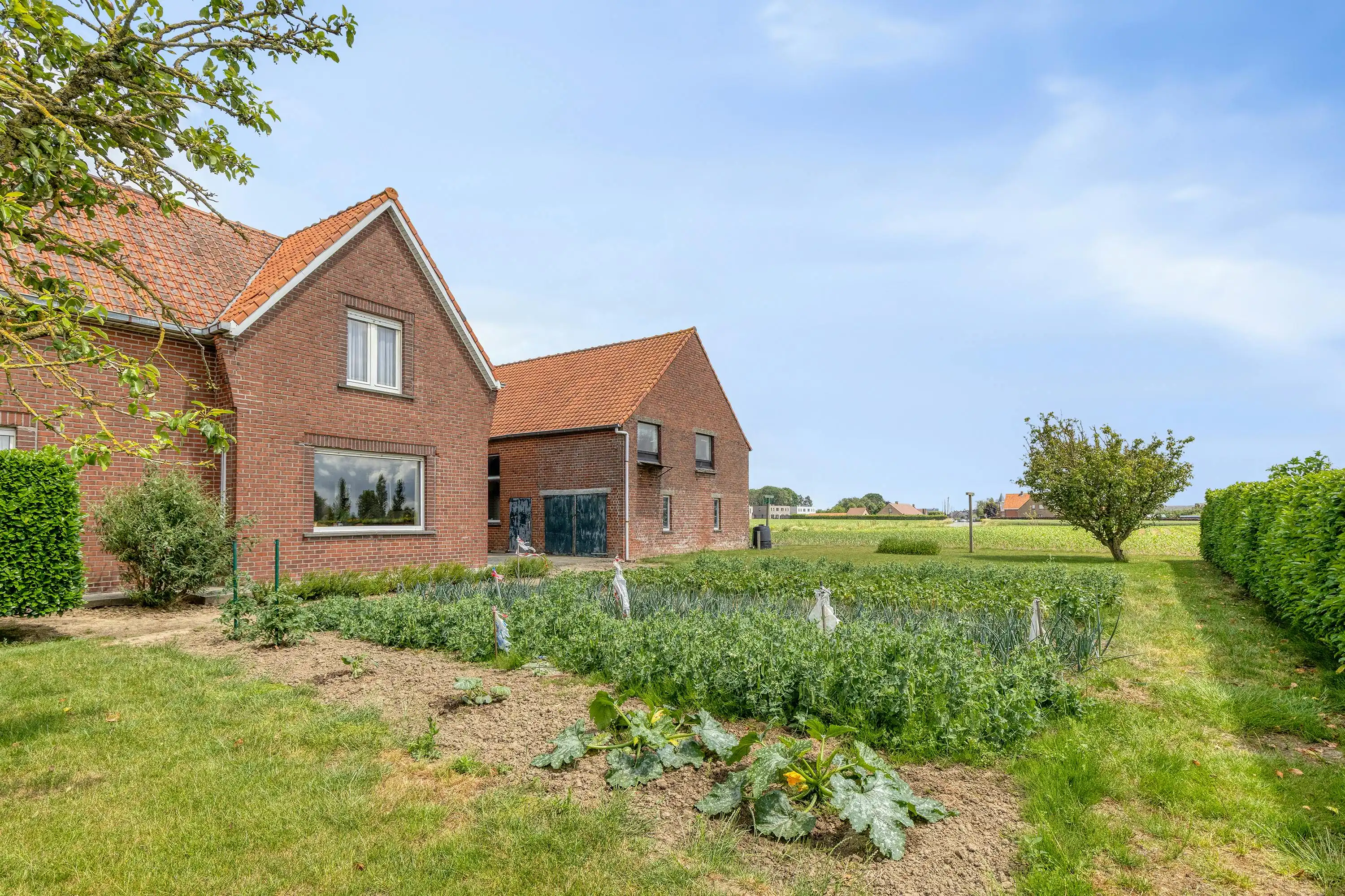 Te renoveren woning met opslag en landelijk zicht op 3635m² foto 19