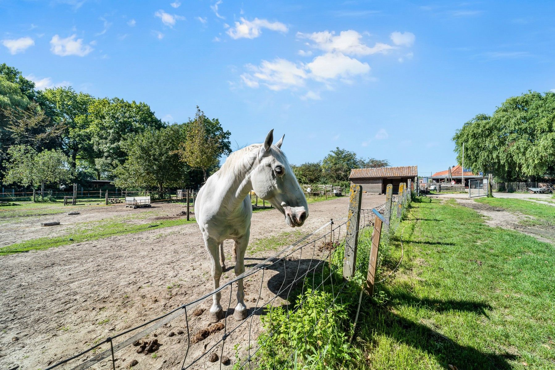 Landelijke, halfopen woning foto 17