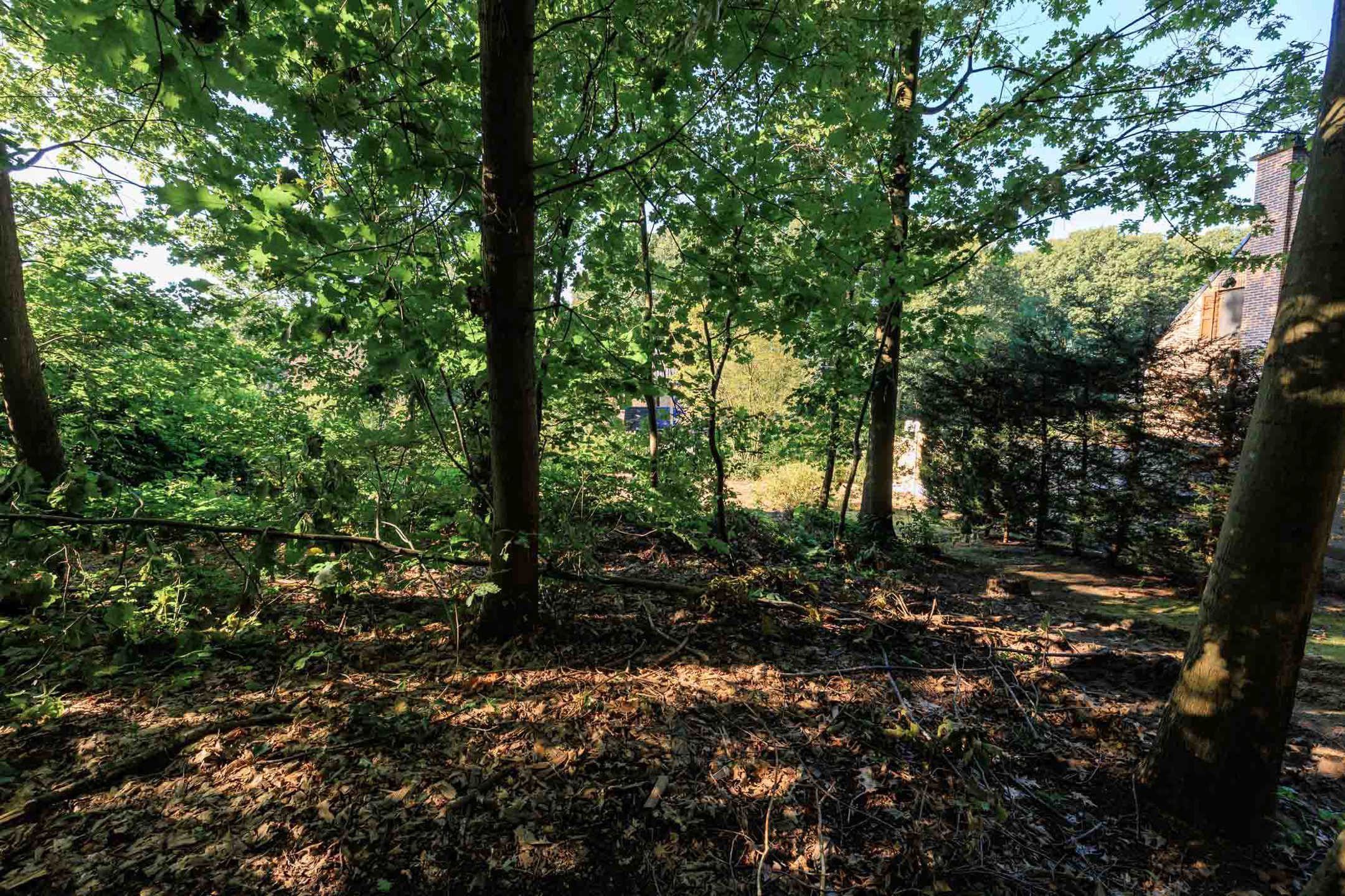 Goed gelegen bouwgrond te Heikant-Rotselaar foto 11