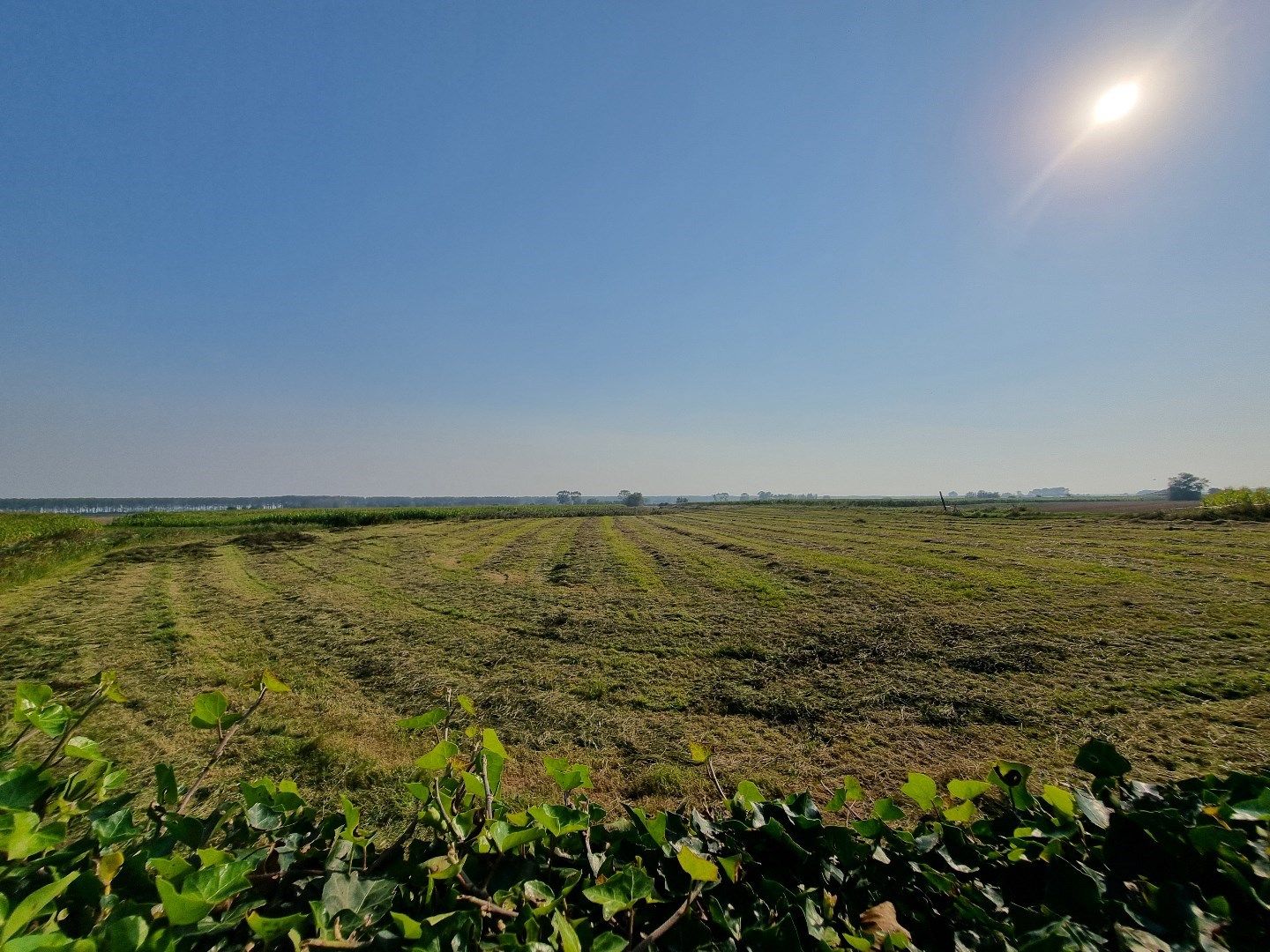 Vrijstaande landelijke woning te Westkapelle met magnifieke vergezichten  foto 5