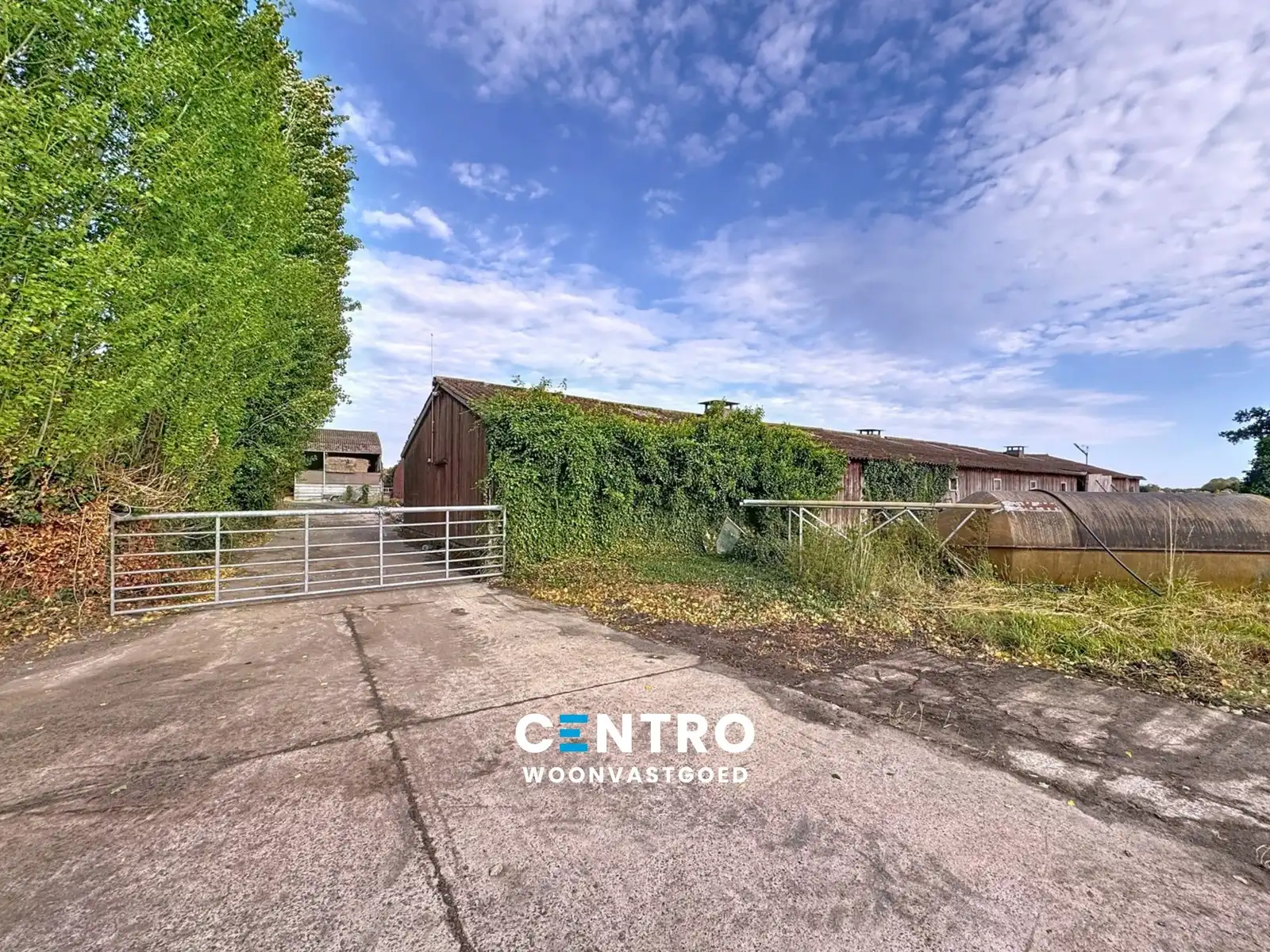 Te renoveren hoeve op circa 1 ha op GOEDE ligging! foto 12