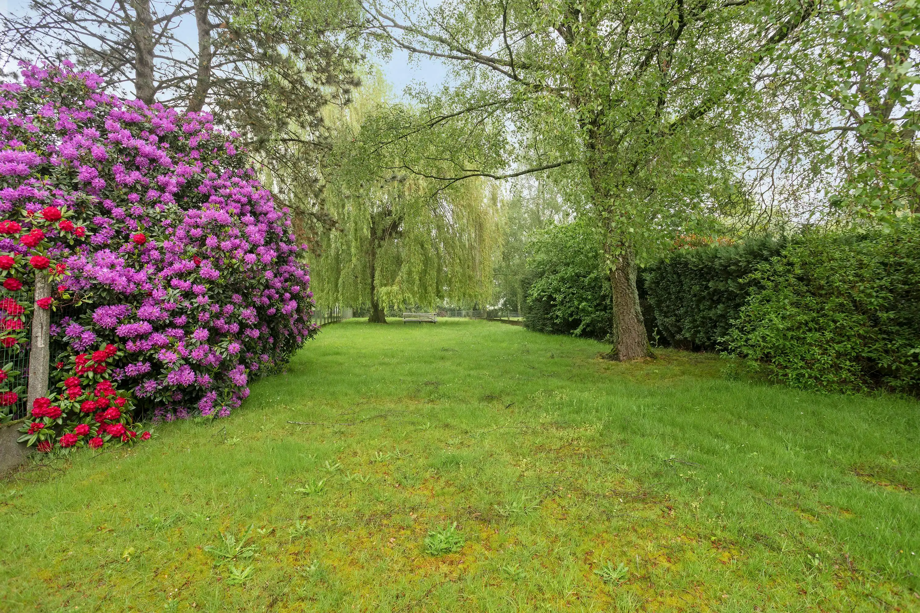 3-gevelwoning met veel potentieel en uitzonderlijke tuin (Grens Dilbeek) foto 27