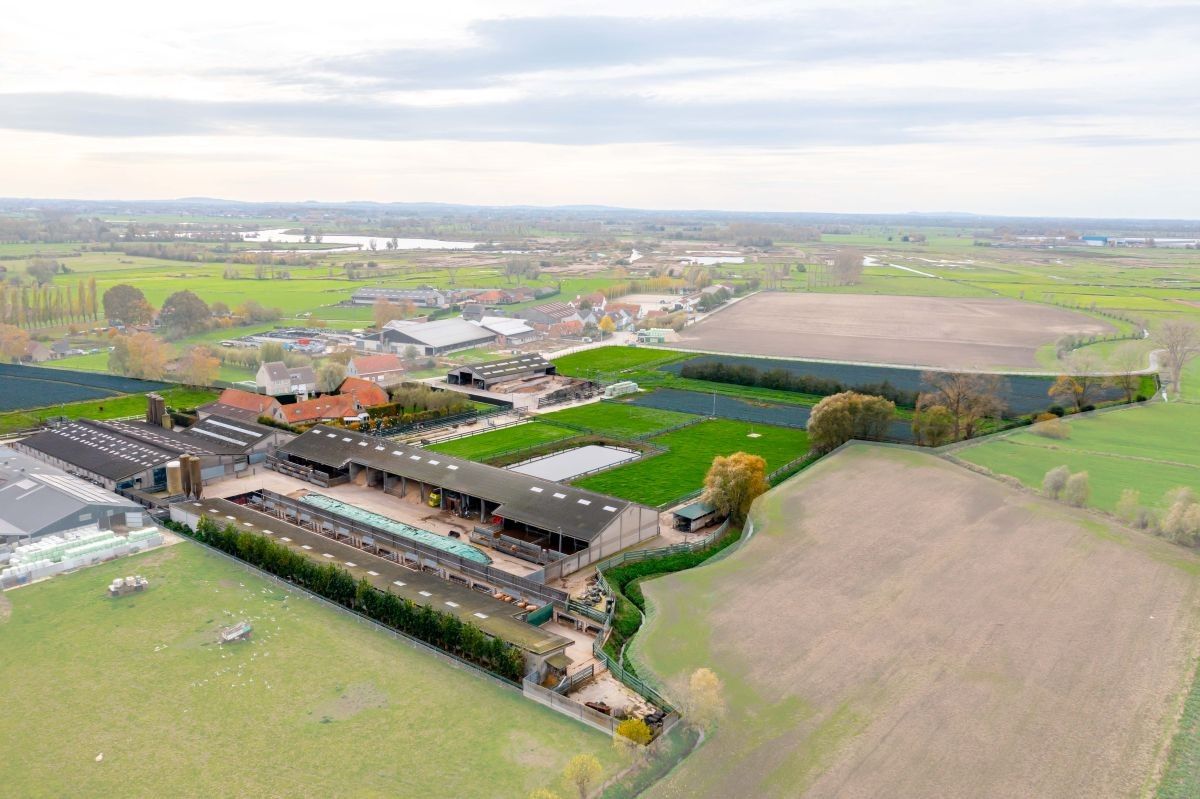 Groot vleesveebedrijf te koop te Diksmuide foto 2