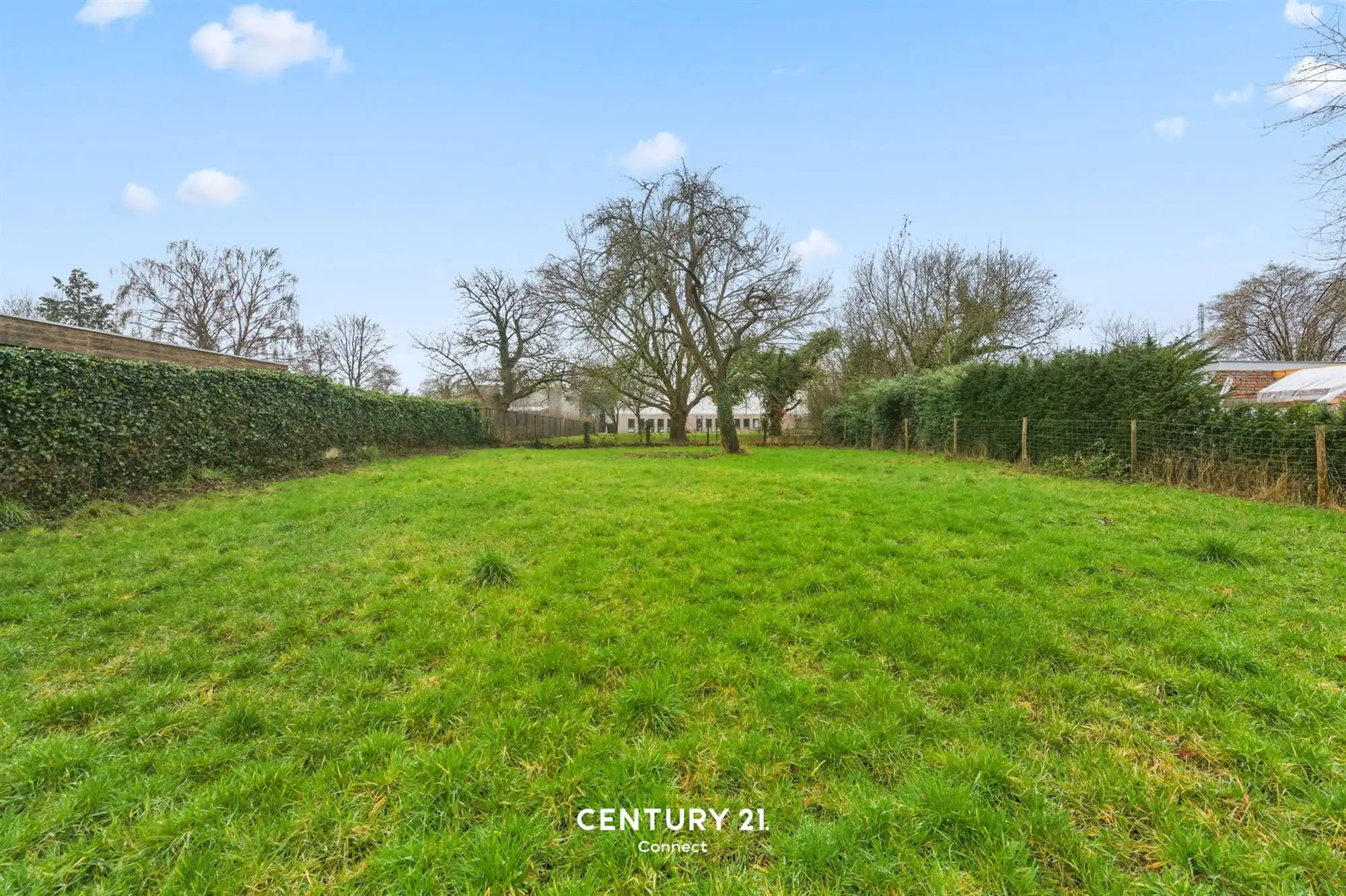 Zuid gerichte bouwgrond van 11a 24ca te Bierbeek foto 3