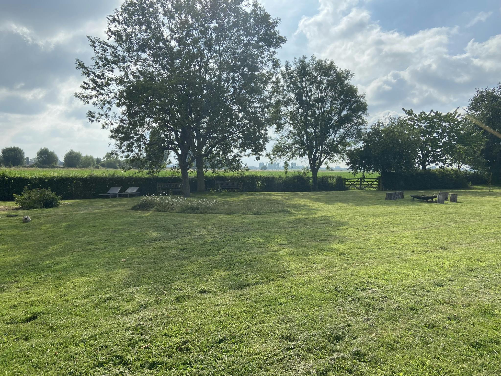 Exclusief landhuis op +/- 8000 m²: de synthese van rust en ruimte foto 6