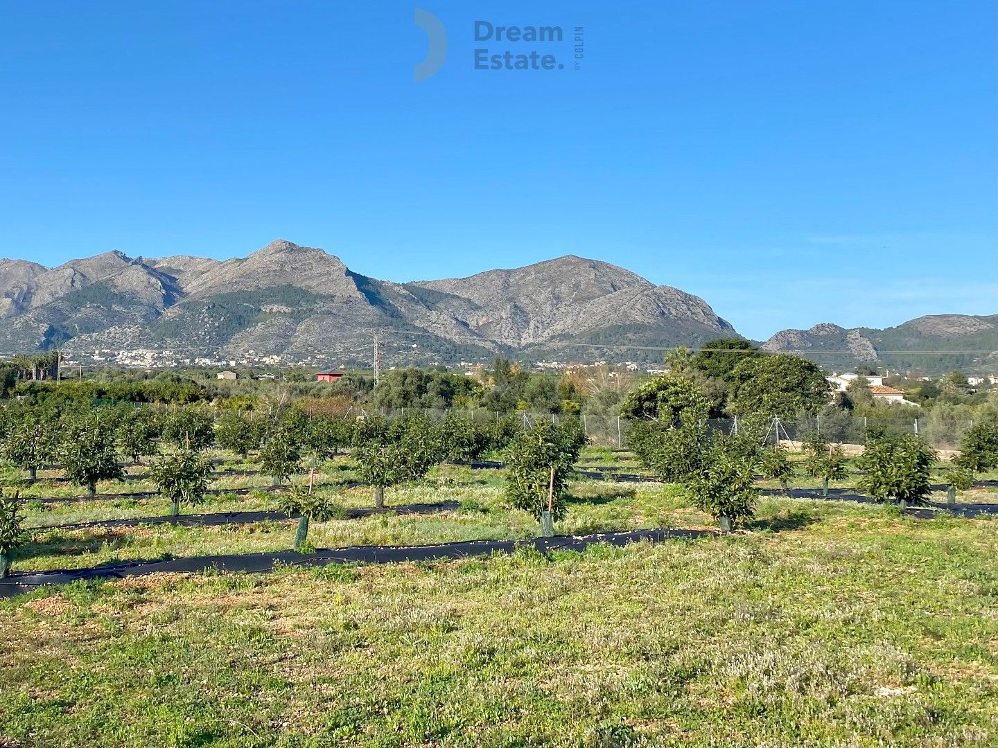 Villa Benidoleig – Exclusieve Nieuwbouwvilla met Avocadoplantage en Panoramisch Uitzicht Benidoleig, Costa Blanca foto 6