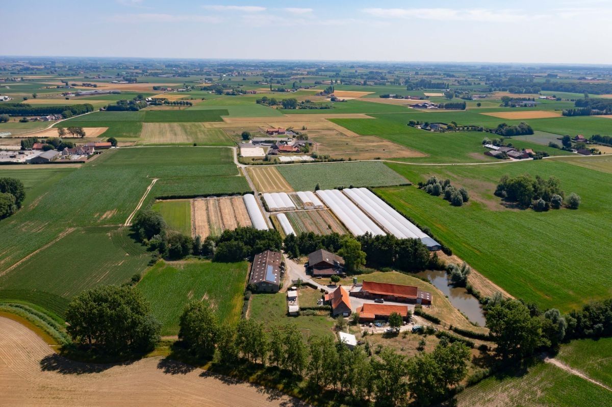 Zeer mooi gelegen hoeve met aanpalende landbouwgronden te koop te West-Vleteren foto 7