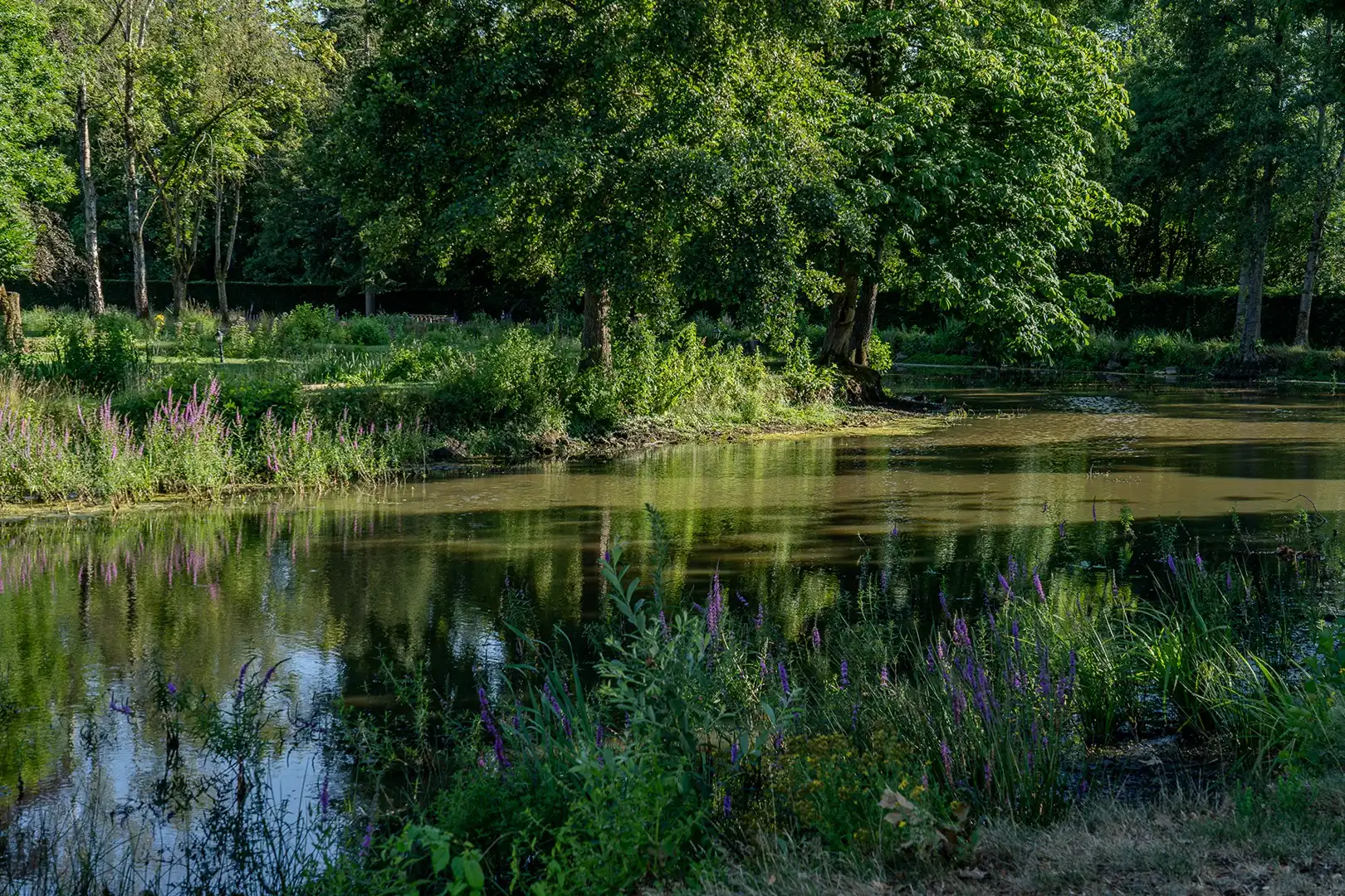 Exclusief landgoed op ± 2 hectare, grenzend aan natuurgebied De Wijers foto 7