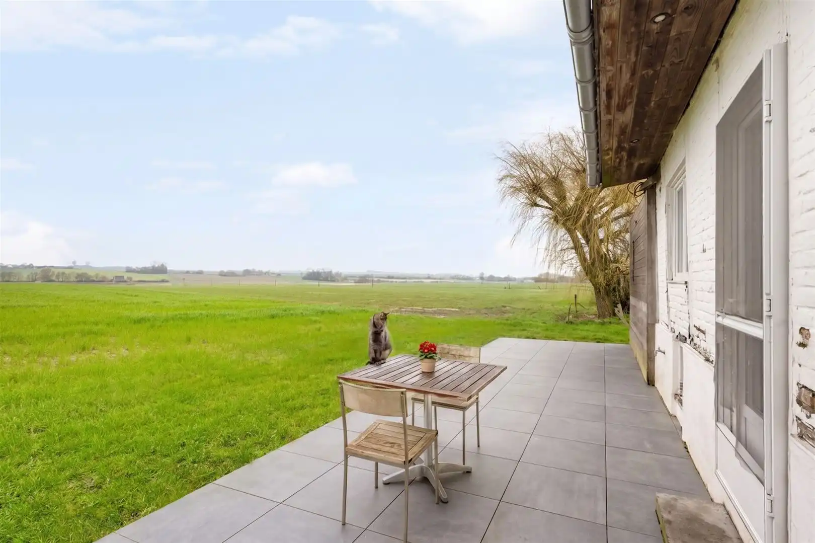 Alleenstaande woning op 850m² foto 18