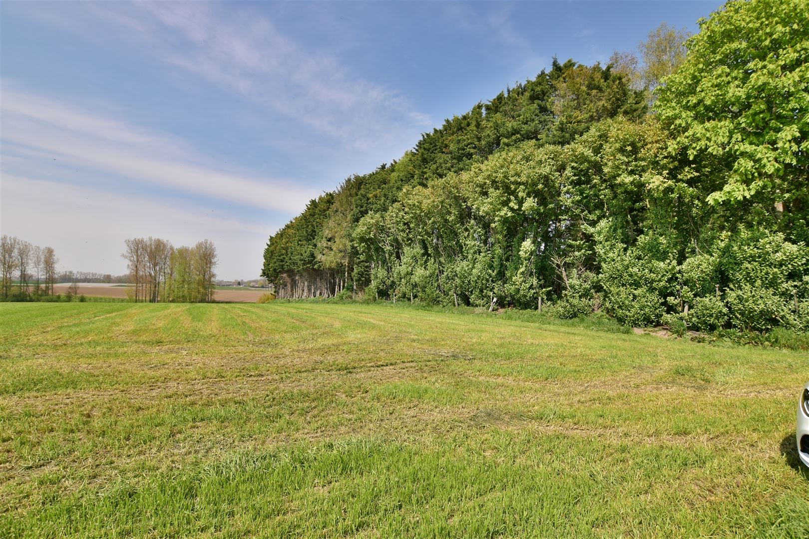 Het perceel is gelegen in de Molendreef te Geraardsbergen foto 27