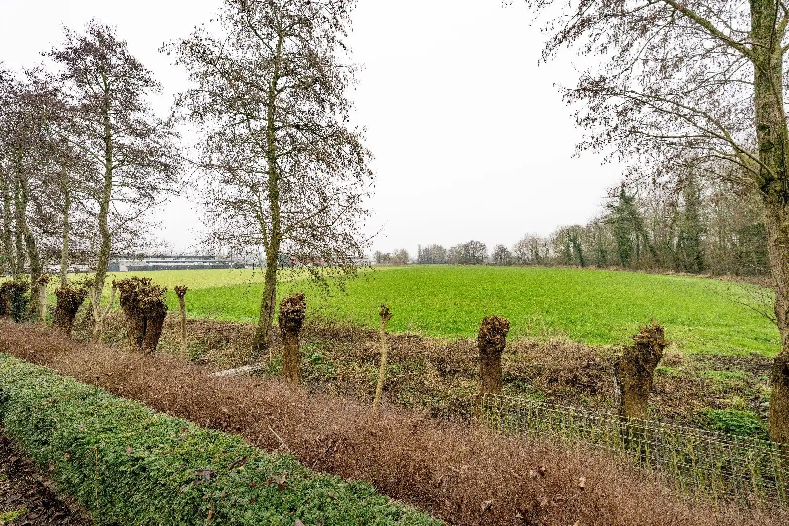 RUIME VILLA MET AGRARISCH ZICHT ÉN RUIMTE VOOR PRAKTIJK/BIJBEROEP! foto 27