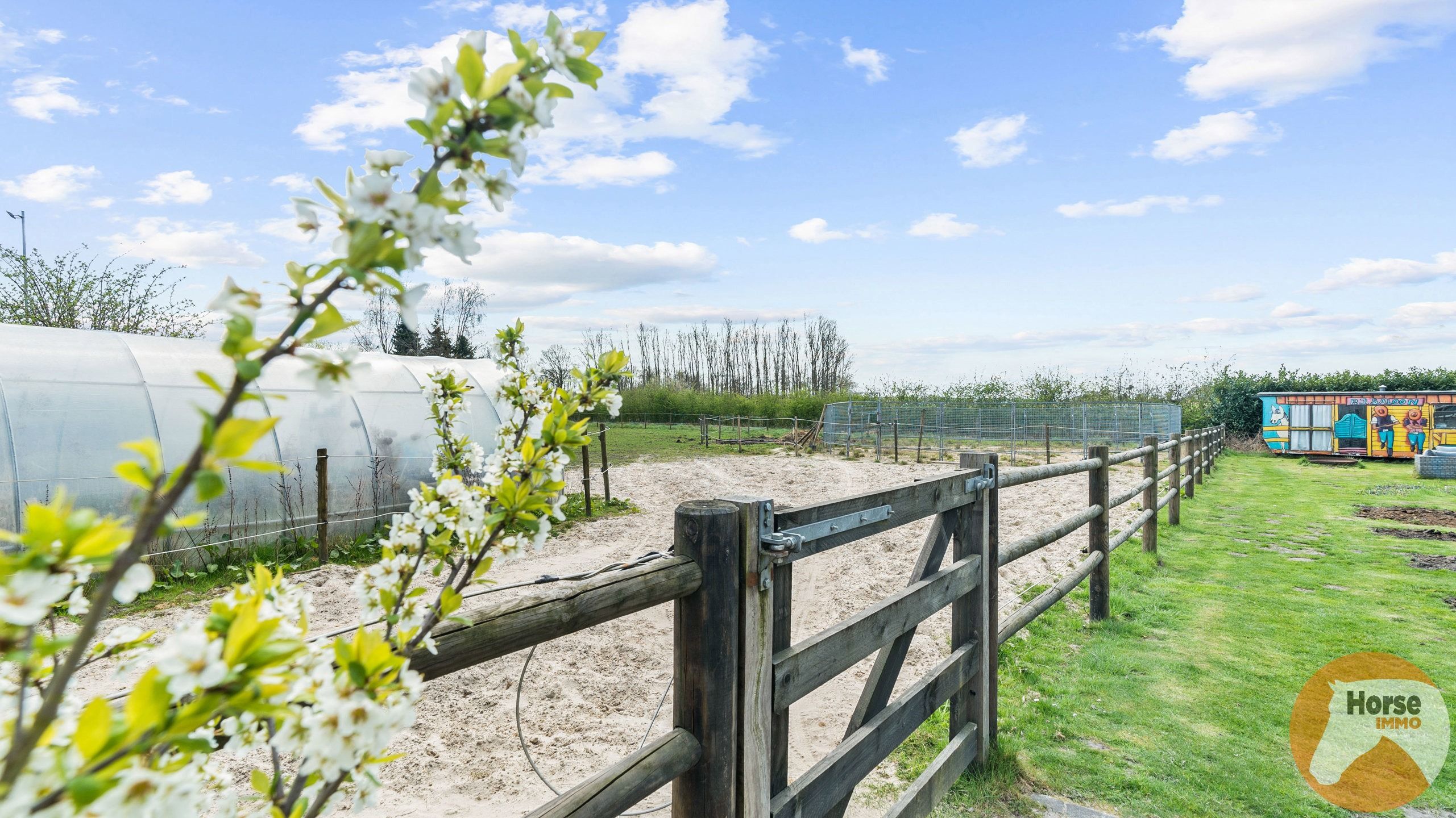 RAVELS - Instapklare woning met loods en stallen op ca.1,6Ha foto 21