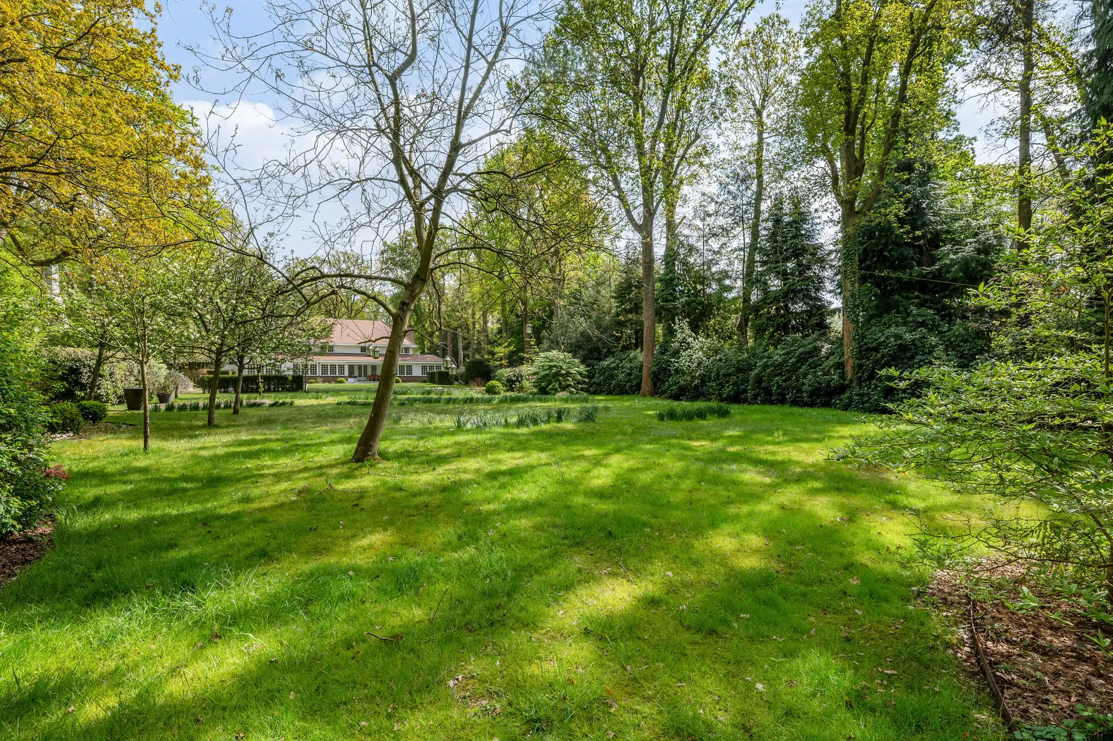 Villa met guesthouse & zwembad op 4.899 m² foto 25